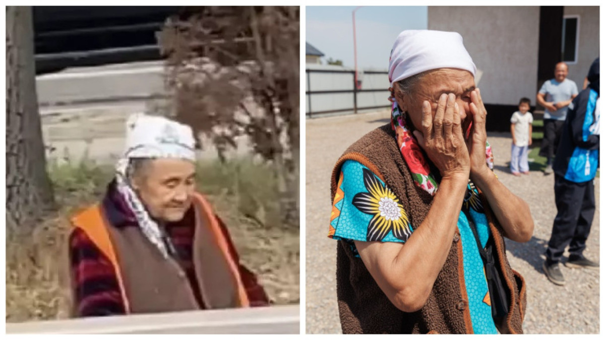  коллаж El.kz 