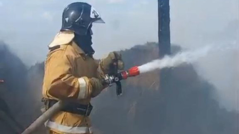  Видеодан кадр 