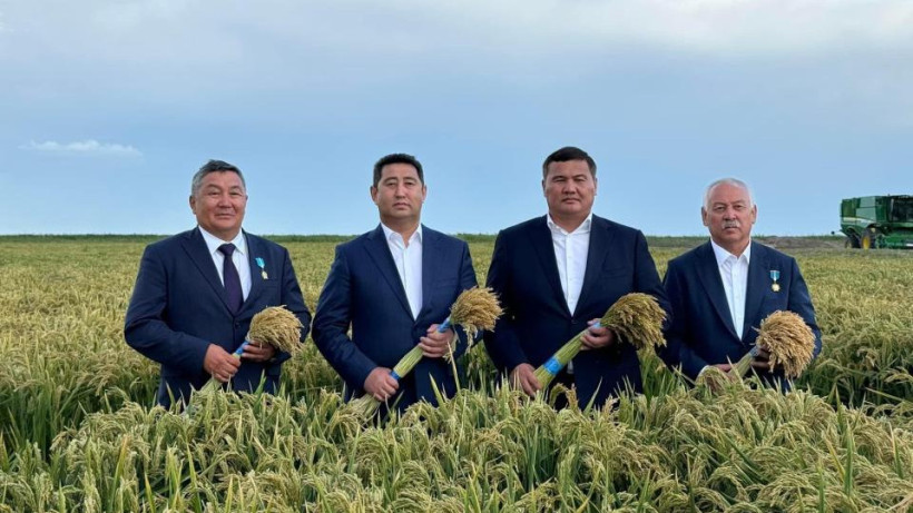  © Минсельхоз 