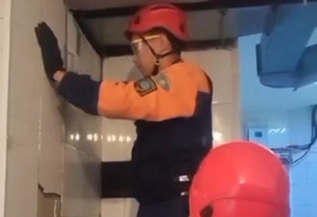 Астанада мысық құтқарылды