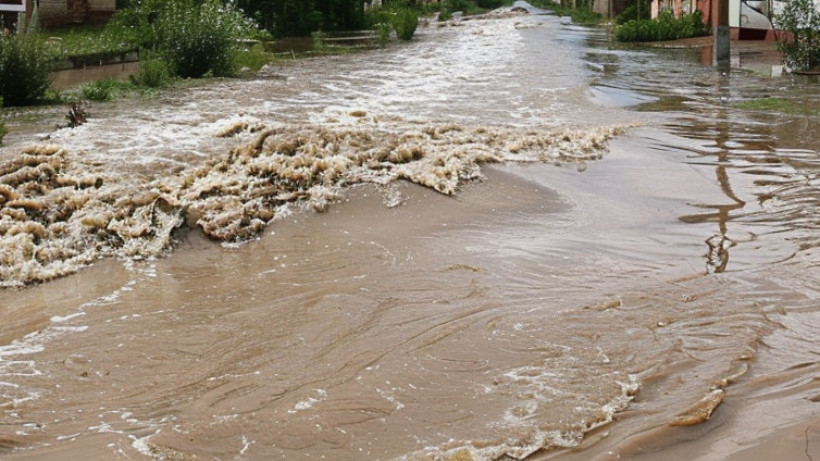  ©El.kz/Ербол БЕКБОЛАТ/Midjourney 