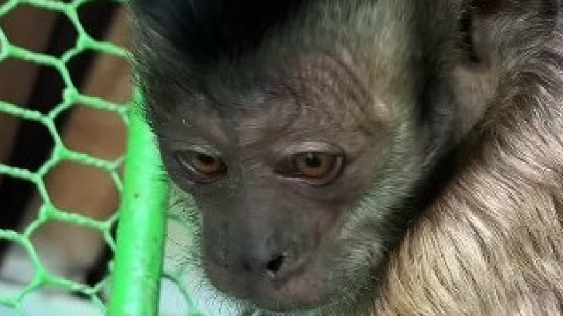  кадр из видео пресс-службы зоопарка Алматы 