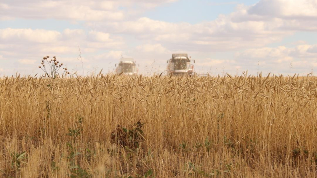  Қарағанды облыстық әкімдігі 