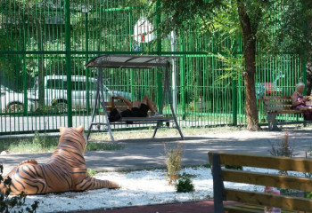 Программа «Бюджет народного участия» преображает Алматы: завершено благоустройство двора в центре города