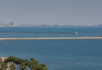 Индонезия усиливает меры безопасности для въезжающих иностранцев