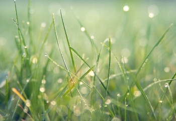 Еліміздің басым бөлігінде тұрақсыз ауа райы сақталады