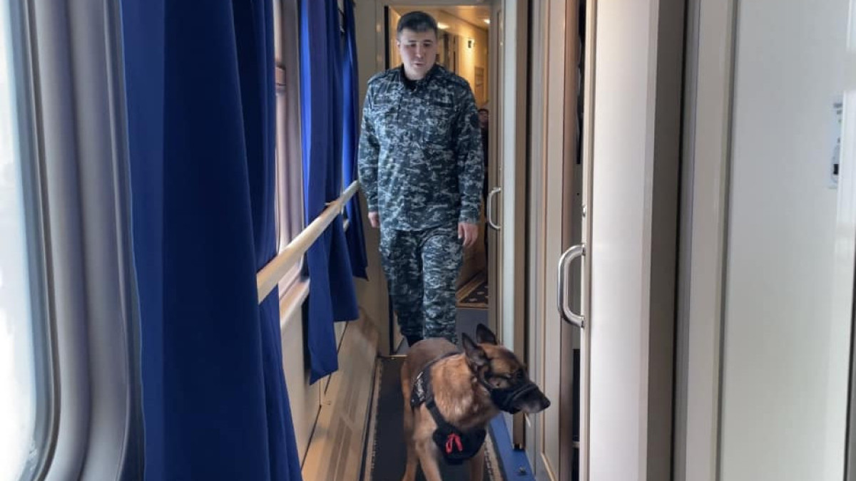  © пресс-служба Департамента полиции на транспорте 