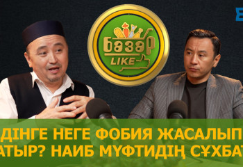Дінге неге фобия жасалып жатыр? Наиб мүфти неден қорқады?