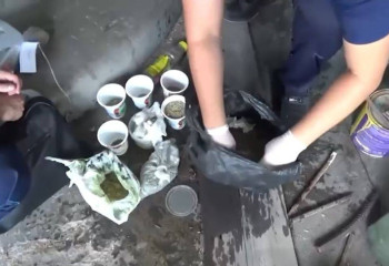 Жетісу облысының тұрғынынан төрт келіден астам марихуана тәркіленді