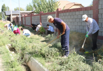 В Ордабасинском районе тысяча селян вышли на субботник