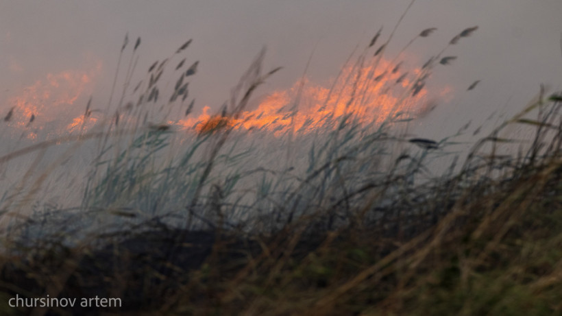  El.kz/Артем Чурсинов 