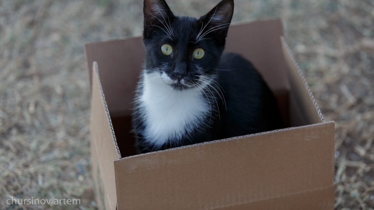  El.kz/Артем Чурсинов 