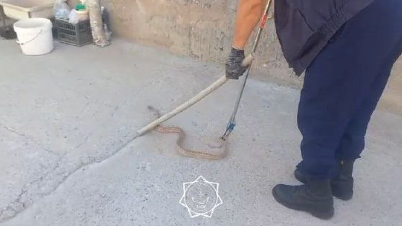  Видеодан кадр 