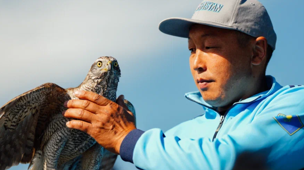  дирекция ВИК 