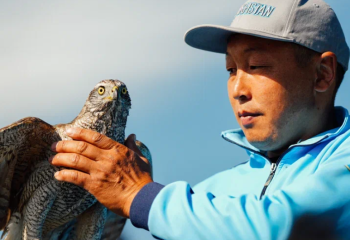 Лучших ловчих птиц готовят для участия во Всемирных играх кочевников