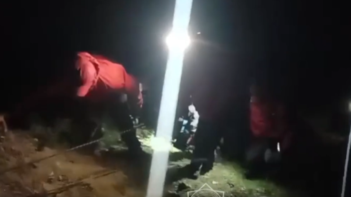  ҚР ТЖМ / Видеодан алынған кадр 