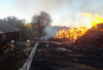 В стране участились случаи возгорания сена