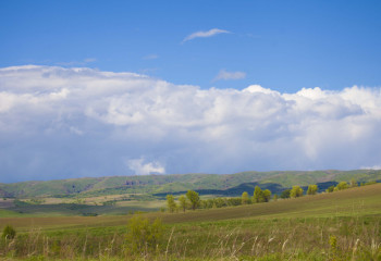 Государству передан земельный участок на 3,3 га в Уральске