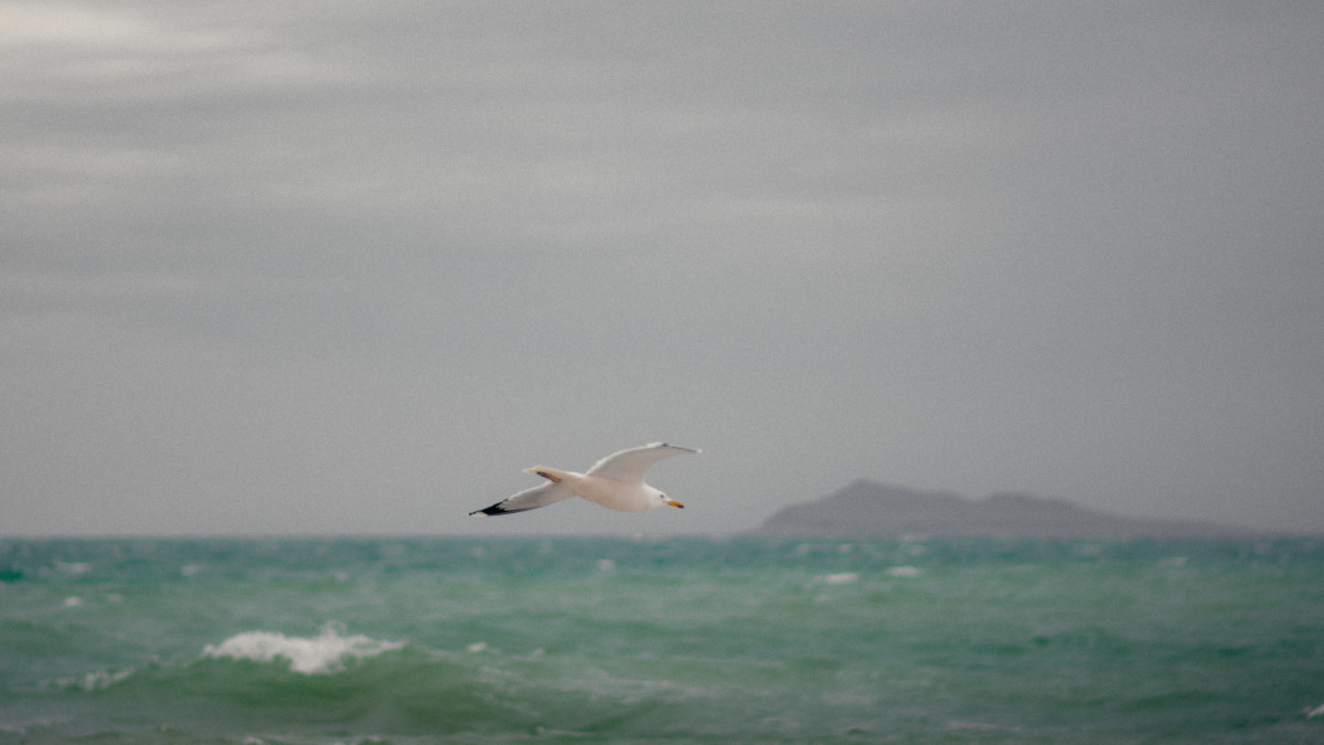  © El.kz 