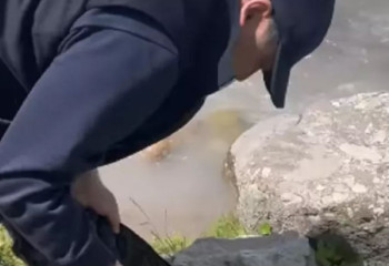 Қырғызстан президенті демалушылар тастап кеткен қоқысты жинады