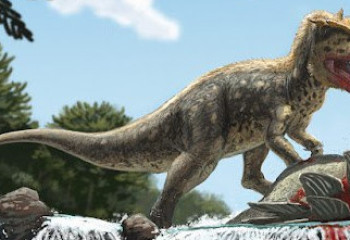 В Кыргызстане найден новый вид хищных динозавров