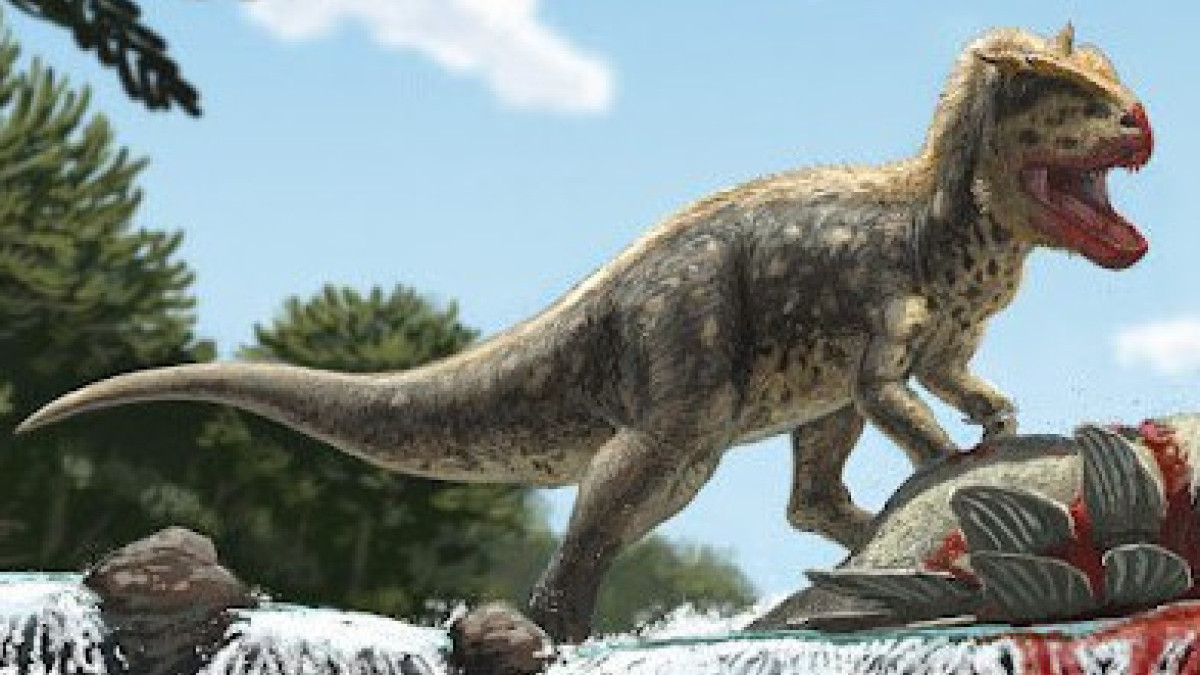 Paleontologists discover new predatory dinosaur in Kyrgyzstan