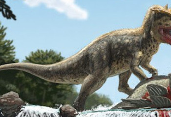 Paleontologists discover new predatory dinosaur in Kyrgyzstan