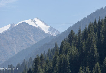 TikTok holds video contest about tourist beauties of Kazakhstan