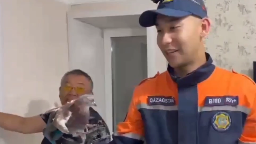  Видеодан кадр 