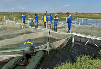 В Карагандинской области проводится зарыбление реки Нура