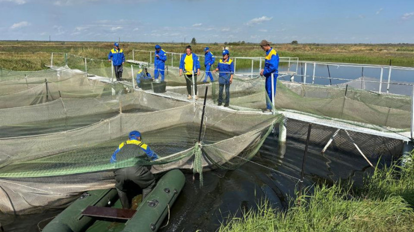  Минсельхоз РК 