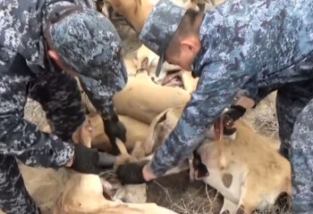 Ұлытау облысында қарулы браконьерлер ұсталды