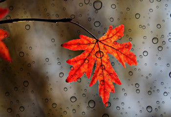 Күзде ауа райы қандай болады