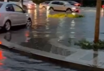 Алматы облысында 11 ауланы су басып қалды