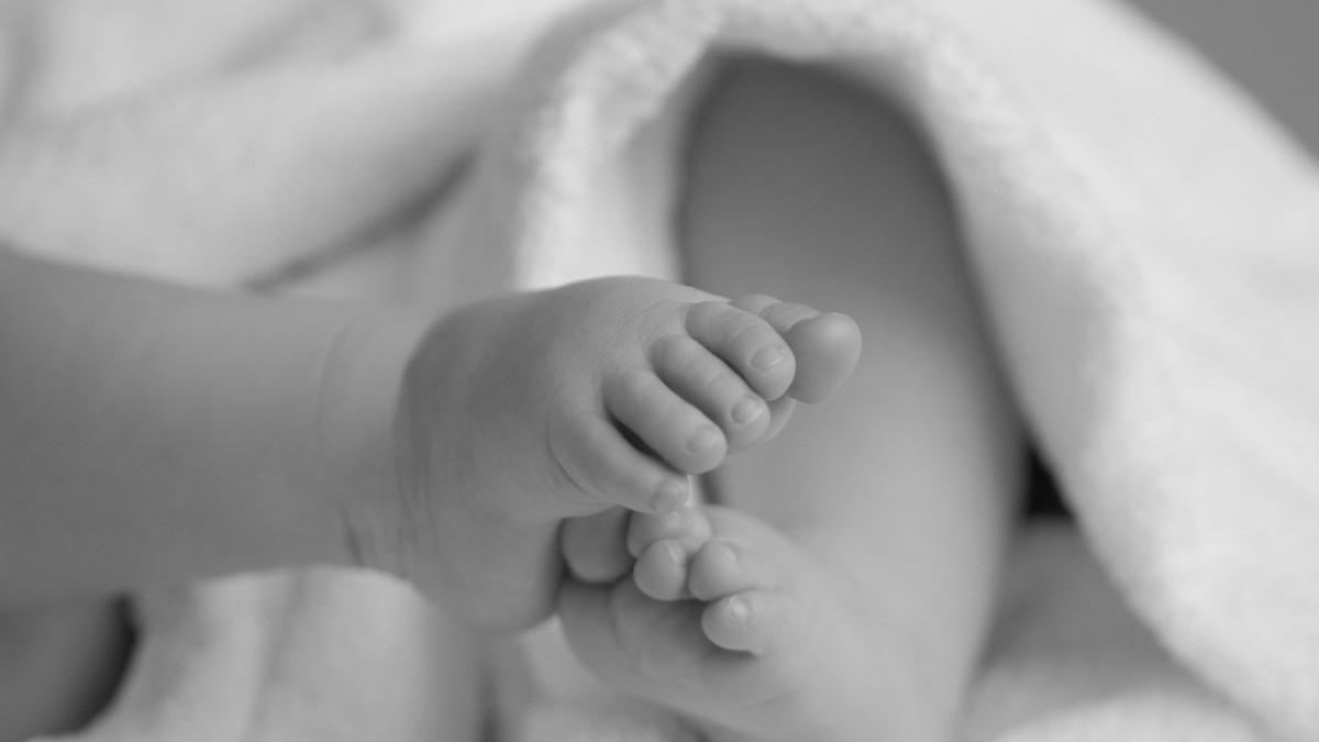  pixabay.com 