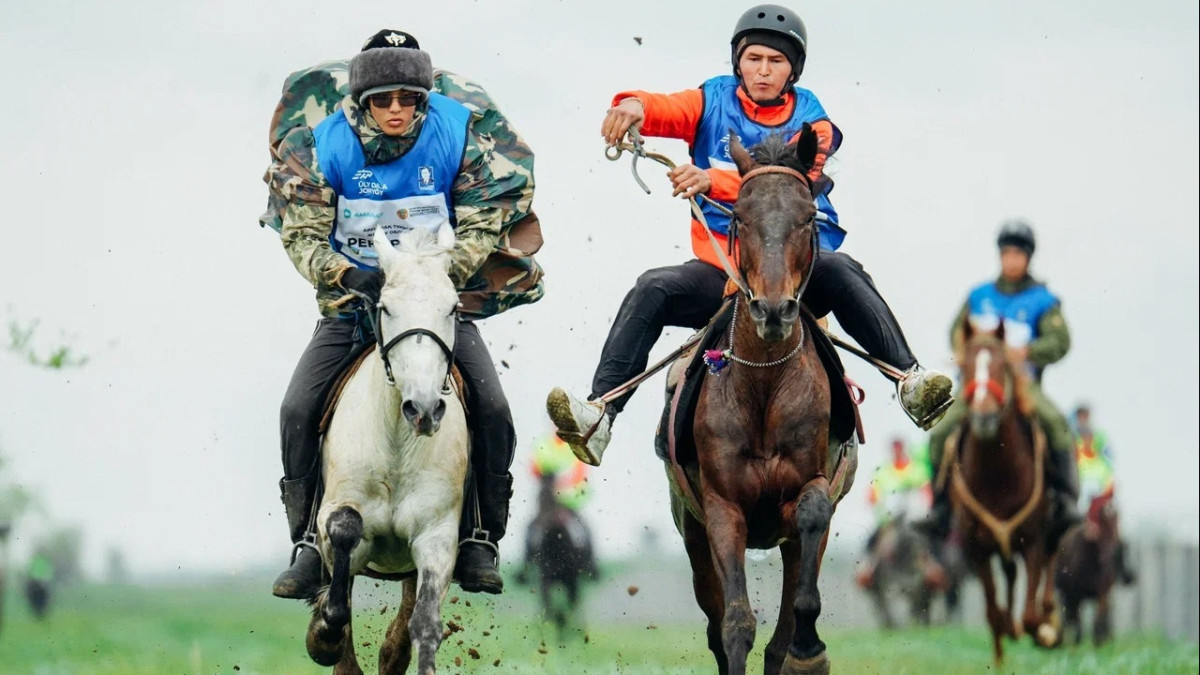  дирекция ВИК 