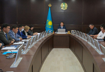 Гнус не пройдёт: в Павлодарской области подвели итоги борьбы с насекомыми