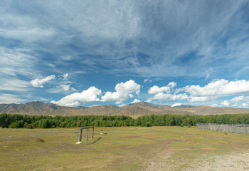 Шымкентте пайдаланылмаған жер мемлекетке қайтарылды