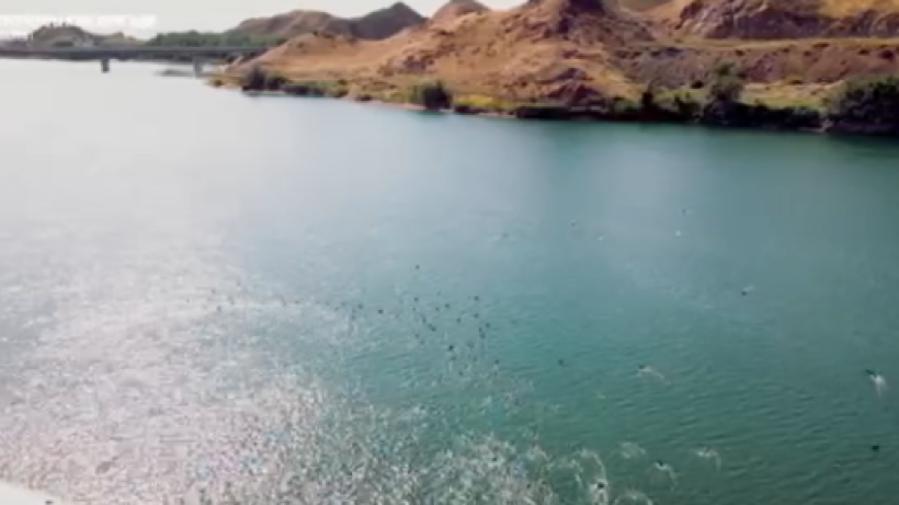  t.me/QR_Su_resurstari_ministrligi 