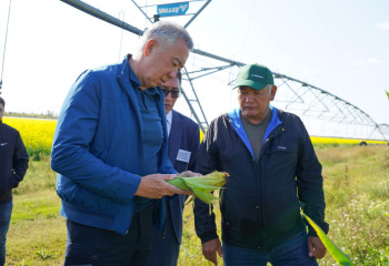 Серик Жумангарин в преддверии уборочной кампании ознакомился с ситуацией на полях Акмолинской области