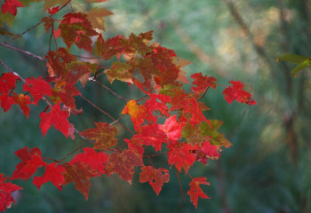 Қыркүйекте қазақстандықтар қанша күн демалады?