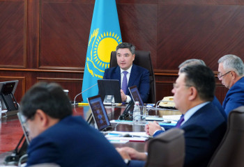 Government adopts decision on holding referendum on NPP construction