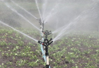 Қазақстанда суару маусымының басым бөлігі сәтті өтті