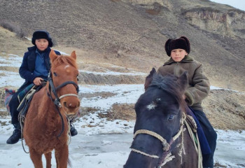 «Бауырына салу» Австрия мен Санкт-Петербургтегі кинофестивальдерде топ жарды