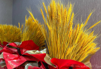 В Костанайскую область пытались нелегально ввезти 110 тонн пшеницы из соседней страны