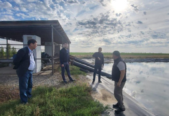 Амангалий Бердалин посетил крестьянские хозяйства в области Абай