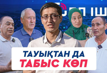 Тауықтан да табыс көп