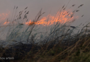 МЧС организует механизированный дозор в лесостепных массивах
