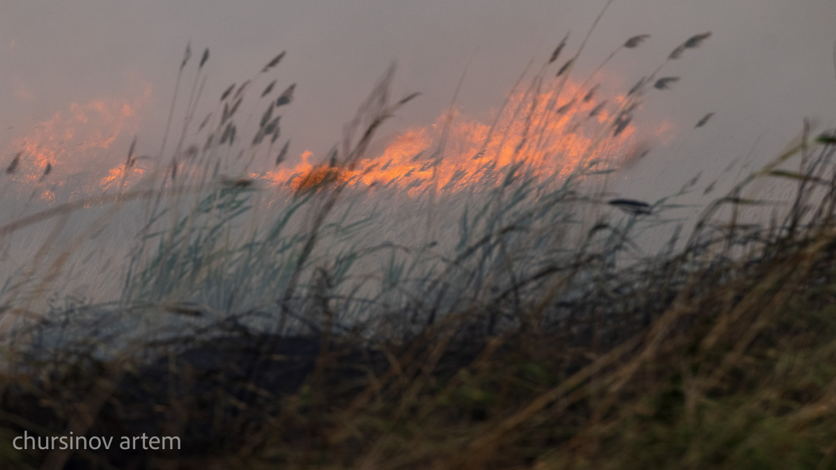  El.kz/Артем Чурсинов 