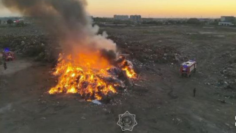  Видеодан кадр 